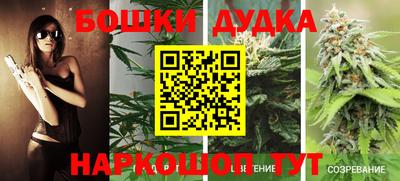 дживик Гай