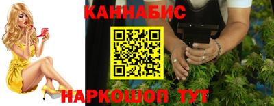 шишки Гатчина