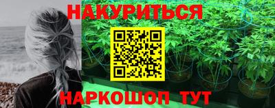 шишки Гатчина