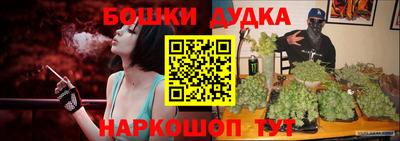 дживик Гай