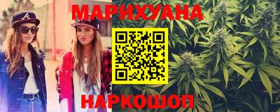 шишки Гатчина